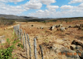Sertão de Jaguaretama, Região do Vale do Jaguaribe (Foto: Arquivo)