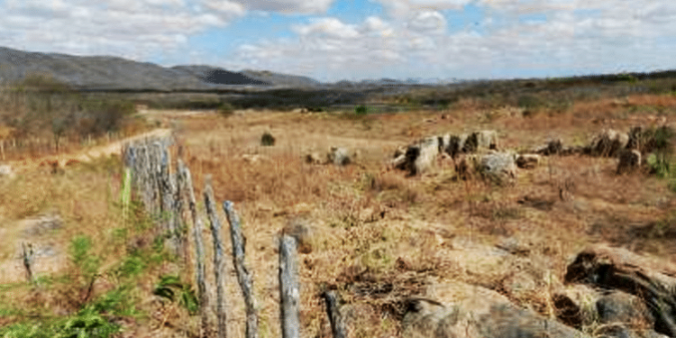 Cidade cearense tem emergência reconhecida pelo Governo Federal devido à seca