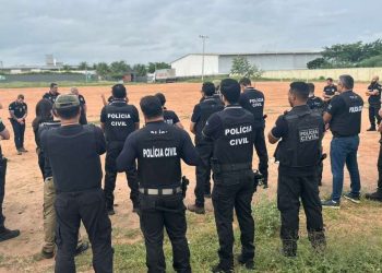 (Foto: Divulgação/PCCE)