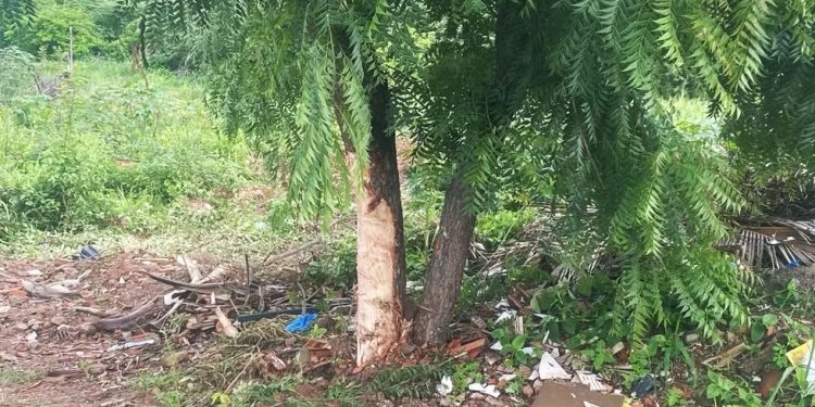 Motorista sofre convulsão e colide carro com árvore na CE-166; cinco ficam feridos