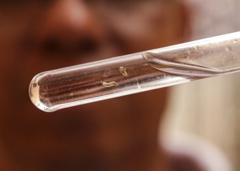 (Foto: Marcelo Camargo/Agência Brasil)