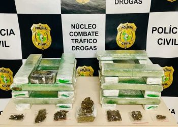 (Foto: Divulgação/PCCE)