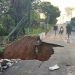 Com forte chuva, cratera se abre em avenida de Juazeiro do Norte e causa transtornos à população