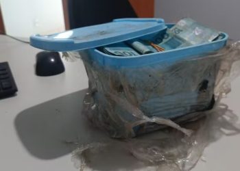 Dinheiro estava escondido dentro de um pote de sorvete (Foto: Divulgação/Polícia Civil)