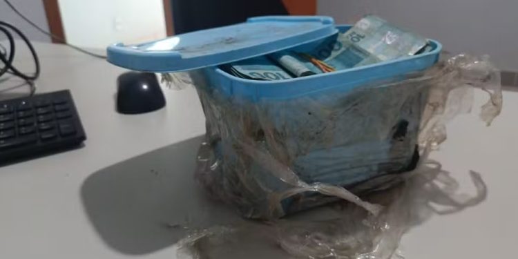 Aposentado encontra R$ 60 mil enterrados ao limpar jardim; PF diz que dinheiro é de ex-secretário investigado