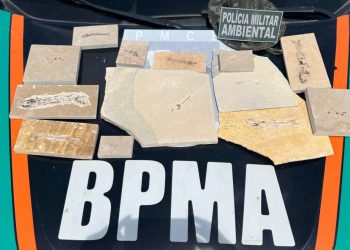 (Foto: Divulgação/PMCE)