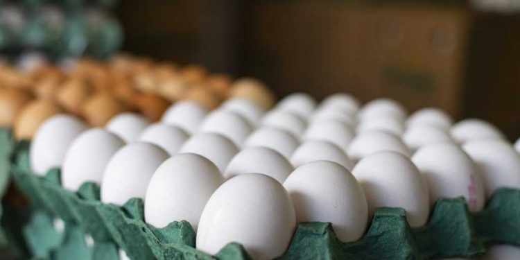 Mexido, frito, cozido: confira benefícios do ovo para a saúde