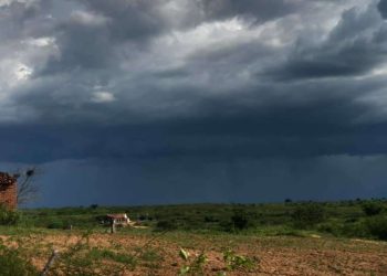 (Foto: Marciel Bezerra/Funceme)