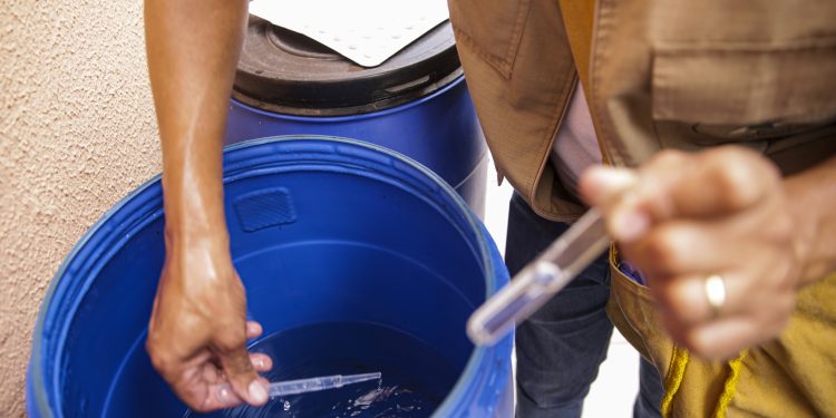 Ministério da Saúde passa a recomendar testes rápidos para diagnóstico de dengue