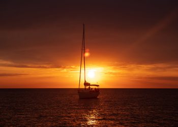 (Foto: teksomolika/Freepik)