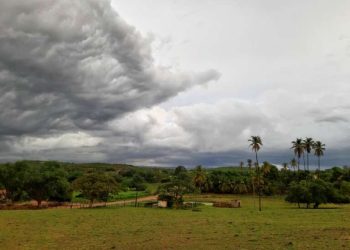 (Foto: Sávio Sampaio/Funceme)