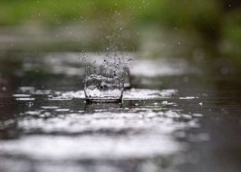 (Foto: Tiago Stille/Governo do Ceará)