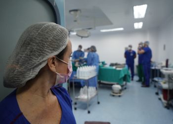 (Foto: Carlos Gibaja/Governo do Ceará)