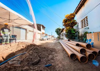 (Foto: Esdras Nogueira/Ambiental Ceará)