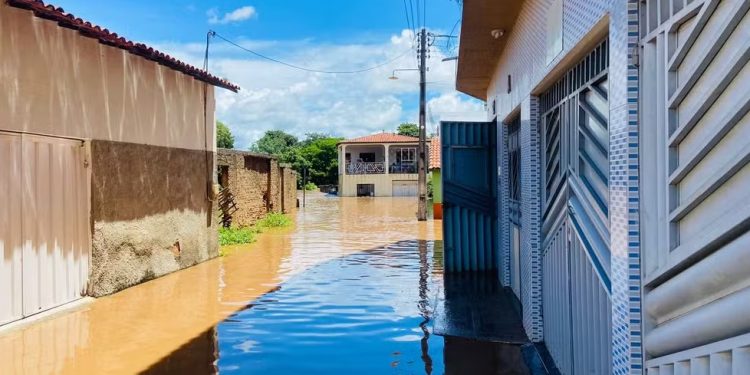 Farias Brito: Rio transborda, invade cidade e deixa desabrigados