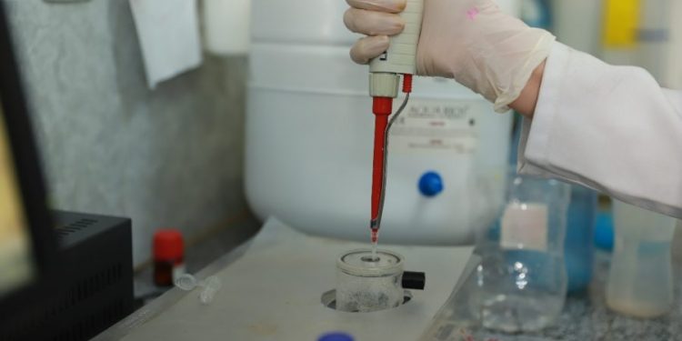 UFCA publica edital para seleção de mestrado e doutorado em Bioquímica e Biologia Molecular