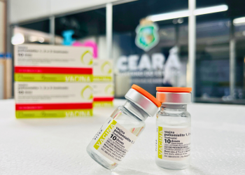 A vacina injetável traz mais segurança, porque utiliza apenas partículas do vírus, segundo a Sesa (Foto: John Moura/Sesa)