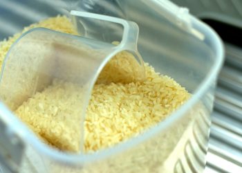 (Foto: Matthew Lakeland/Unsplash)