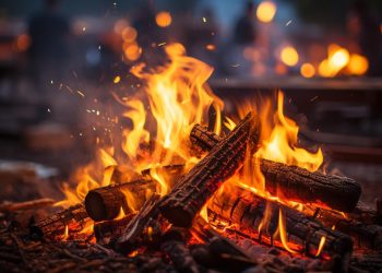 (Foto: vecstock/Freepik)