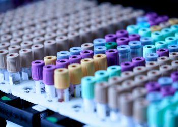 (Foto: 
Testalize.me/Unsplash)