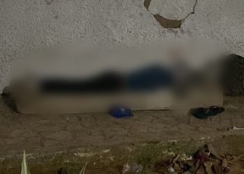 Vítima sofreu lesões severas na cabeça, que causaram um trauma com exposição de massa encefálica (Foto: Redes sociais)