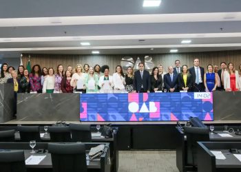 OAB diz que PL do aborto é flagrantemente inconstitucional e atroz