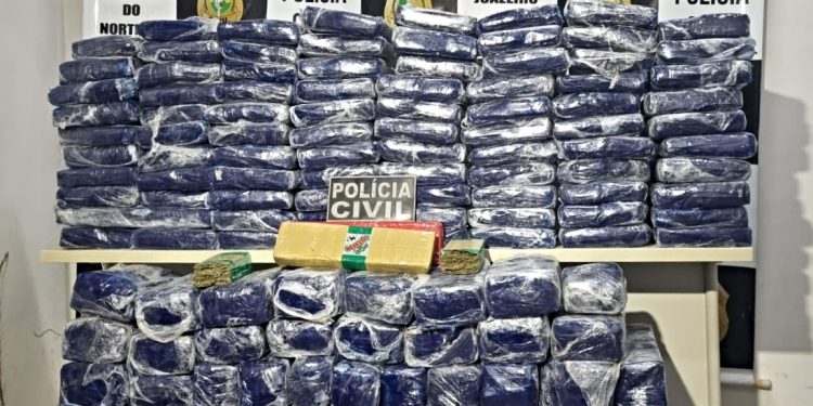 Polícia Civil apreende 379 tabletes de maconha que tinha o Cariri como destino