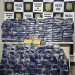 Polícia Civil apreende 379 tabletes de maconha que tinha o Cariri como destino