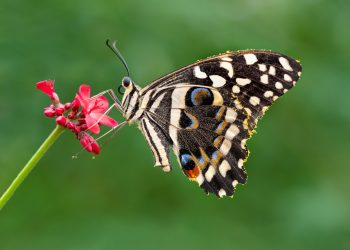 (Foto: William Warby/Unsplash)