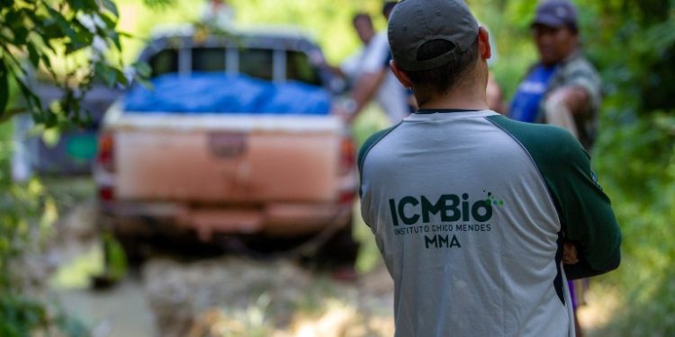 Instituto Chico Mendes anuncia concurso com 180 vagas; provas estão previstas até janeiro de 2025