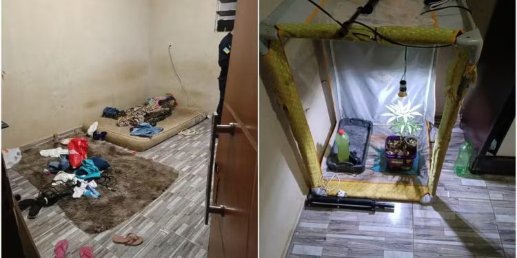 Casal é denunciado por maus-tratos a crianças em Juazeiro do Norte