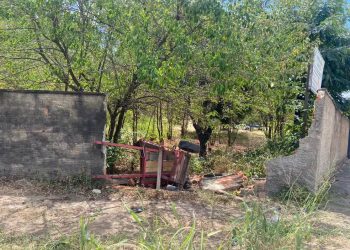 Carro atropelou carroça e derrubou muro no Crato (Foto: Célia Nascimento/TVM)