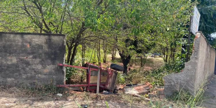 Acidente na CE-060 deixa idoso ferido e jumento morto no Crato