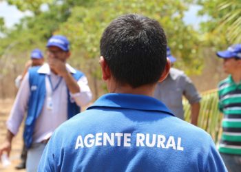 (Foto: Divulgação/SDA)