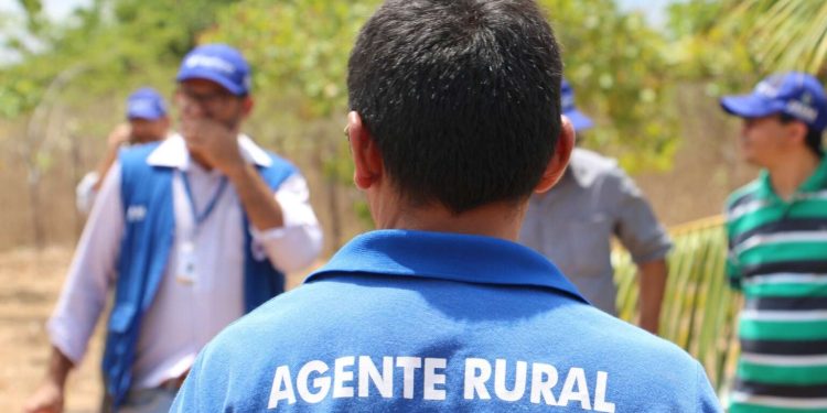 SDA inicia inscrições para o Programa Agente Rural; veja como se inscrever