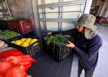 (Foto: George Braga/Governo do Ceará)