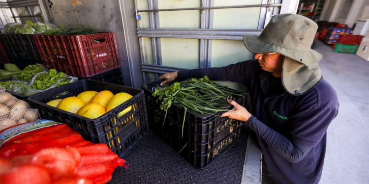 Ceará Sem Fome adquiriu mais de 600 toneladas de alimentos da agricultura familiar