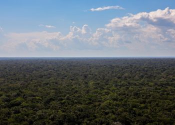 Brasil já perdeu 33% das áreas naturais de seu território, aponta mapeamento