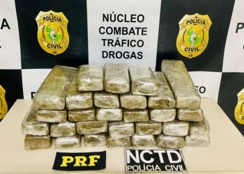 (Foto: Divulgação/PCCE)