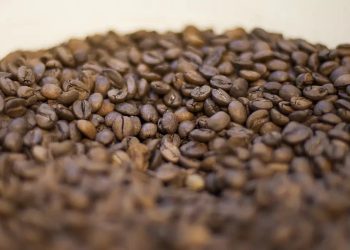 Agricultura manda recolher 16 marcas de café consideradas impróprias para consumo; veja lista