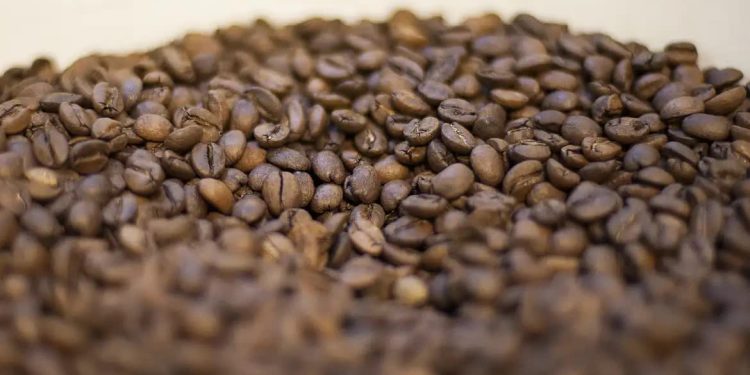 Agricultura manda recolher 16 marcas de café consideradas impróprias para consumo; veja lista