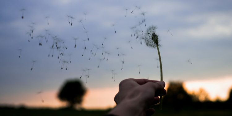 Breve brisa – Por Fabiano Brito