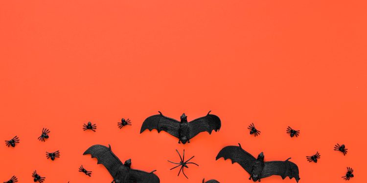 Morcego – Por J. Flávio Vieira