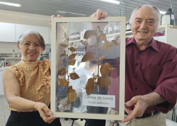 (Foto: Ramó Alcântara/Uece)