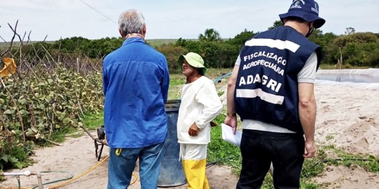 Governador Elmano de Freitas anuncia concurso da Adagri com 120 vagas; confira edital