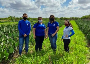 (Foto: Divulgação/SDA)