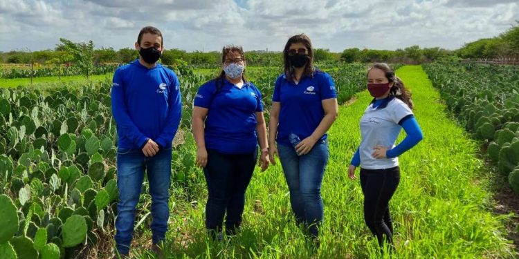 Programa Agente Rural: inscrições são prorrogadas até 15 de setembro