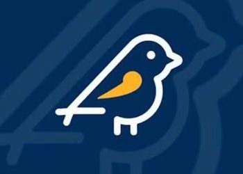 Aplicativo Pardal, do Tribunal Superior Eleitoral (TSE) (Foto: Divulgação/TSE)