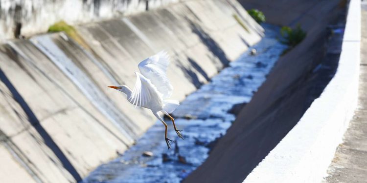 Governador Elmano de Freitas anuncia obras de requalificação no Canal do Rio Granjeiro, no Crato