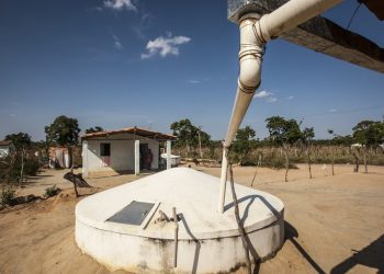 (Foto: Divulgação/Ministério do Desenvolvimento e Assistência Social, Família e Combate à Fome)
